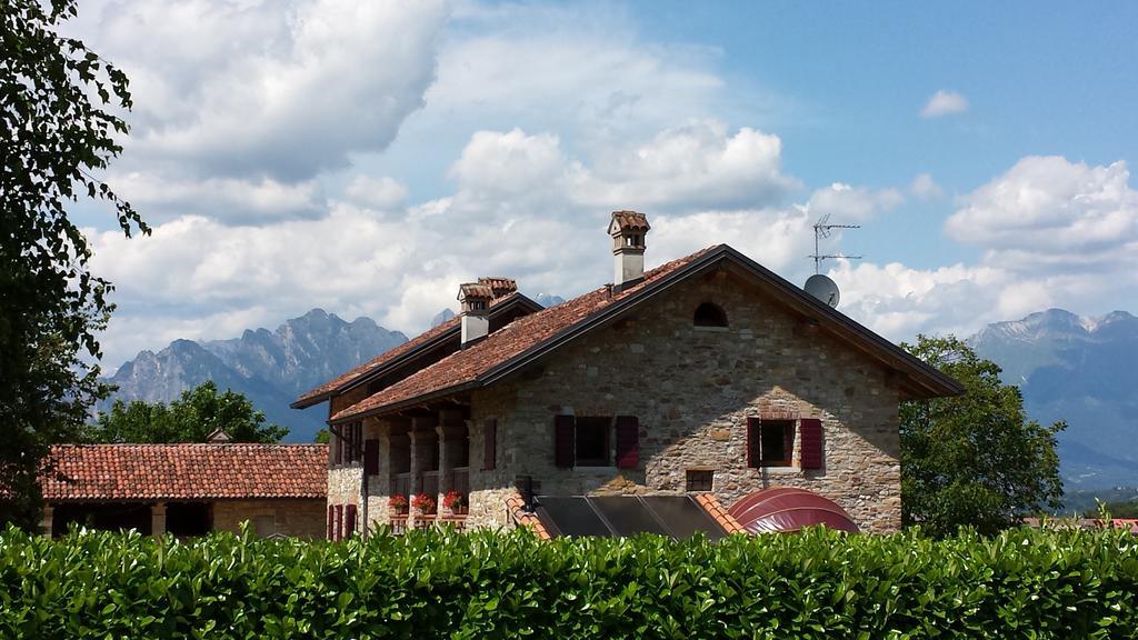Agriturismo Casteldardo Pensionat Trichiana Exteriör bild
