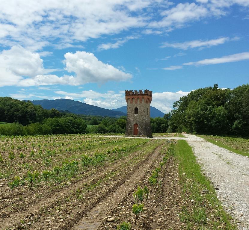 Agriturismo Casteldardo Pensionat Trichiana Exteriör bild