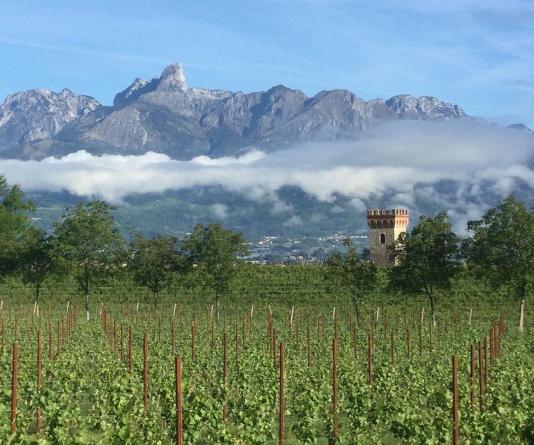 Agriturismo Casteldardo Pensionat Trichiana Exteriör bild